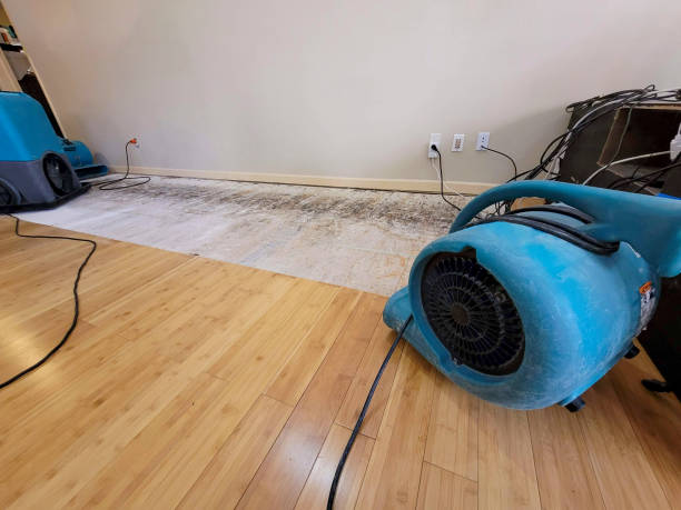 Professional Water Damage Repair technician working in Indio, CA